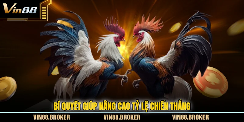 Bí quyết giúp nâng cao tỷ lệ chiến thắng