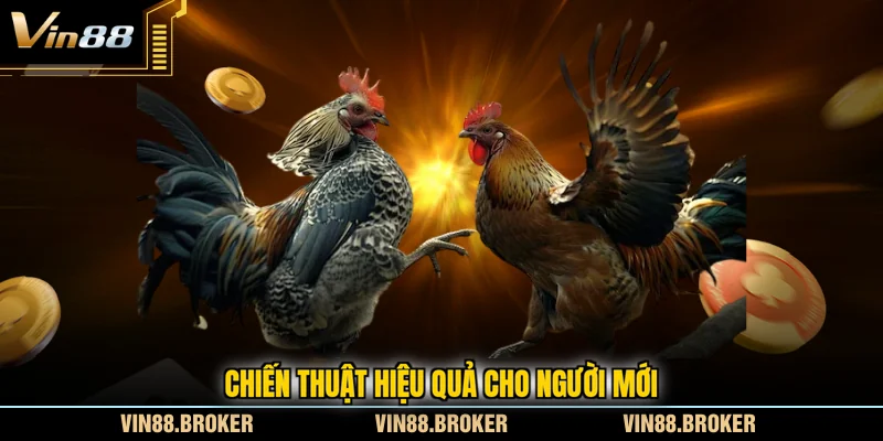 Chiến thuật hiệu quả cho người mới